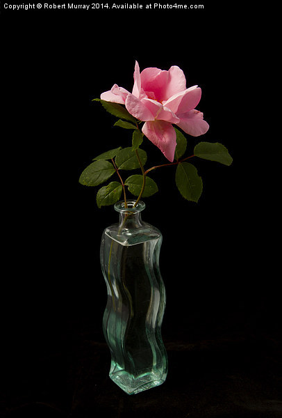  Rose in Bottle Picture Board by Robert Murray