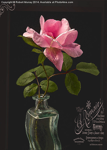  Rose in a Bottle 2 Picture Board by Robert Murray