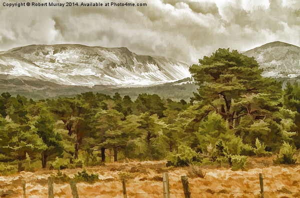  Winter comes to the Cairngorms Picture Board by Robert Murray