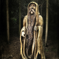 Buy canvas prints of  Old Man of the Forest by Robert Murray