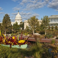 Buy canvas prints of Washington Gardens and Capitol  by Robert Murray