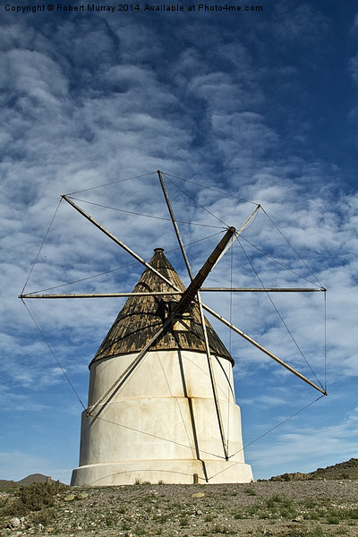  Spanish Windmill Picture Board by Robert Murray