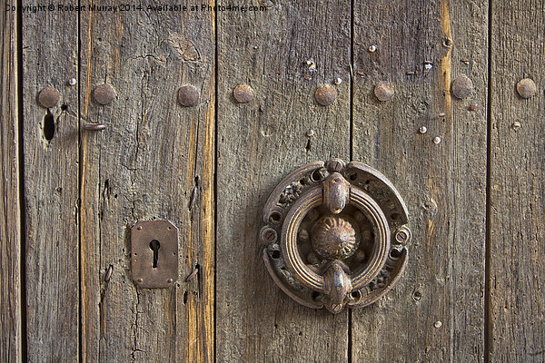  Spanish Door Detail Picture Board by Robert Murray