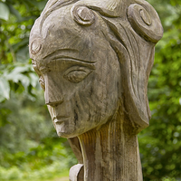 Buy canvas prints of  Regal Head in Wood by Robert Murray
