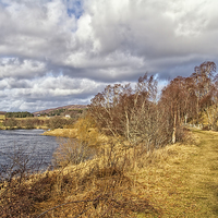 Buy canvas prints of  The Speyside Way by Robert Murray