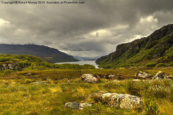 Loch Maree Picture Board by Robert Murray