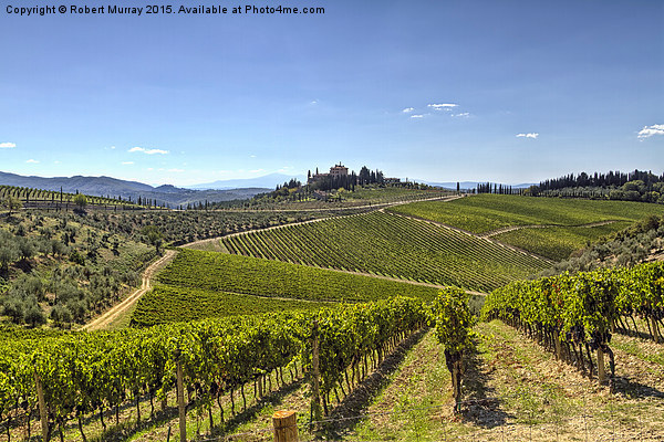  Vineyards of Tuscany Picture Board by Robert Murray