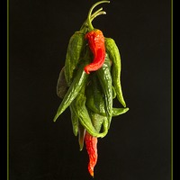 Buy canvas prints of  Drying the Chillies by Robert Murray