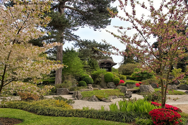 The Japanese Garden Picture Board by Robert Murray
