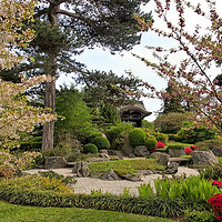 Buy canvas prints of The Japanese Garden by Robert Murray