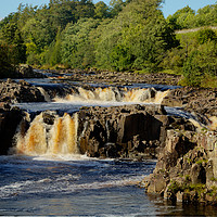 Buy canvas prints of Low Force by Robert Murray