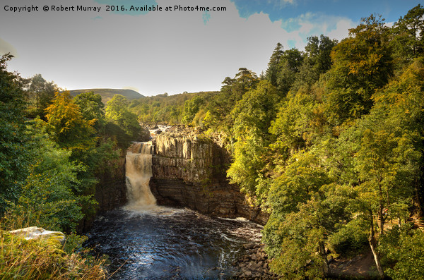 High Force Waterfall Picture Board by Robert Murray