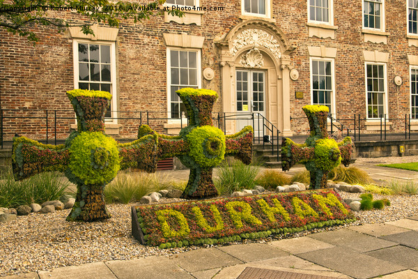 Durham Floral Display Picture Board by Robert Murray