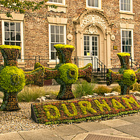 Buy canvas prints of Durham Floral Display by Robert Murray
