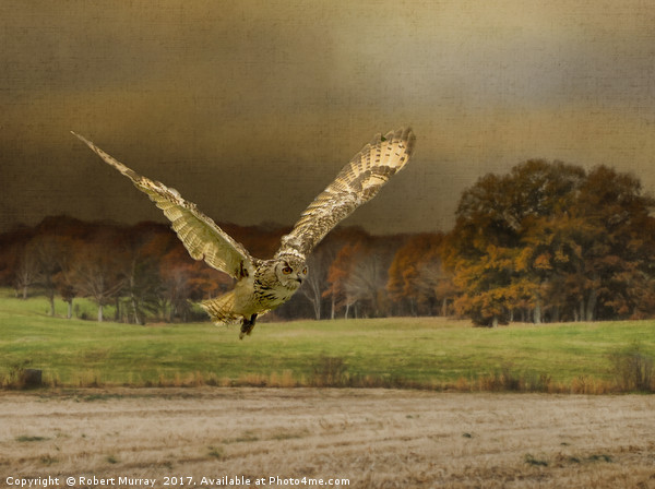 Eagle Owl Hunting Picture Board by Robert Murray