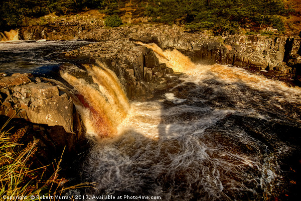Low Force Picture Board by Robert Murray