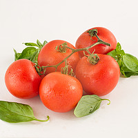 Buy canvas prints of  Tomatoes and Basil by Robert Murray