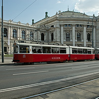 Buy canvas prints of Vienna Tram by Robert Murray