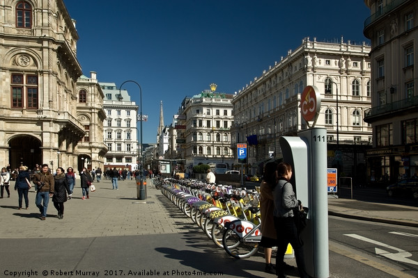 Bike Hire, Vienna Picture Board by Robert Murray