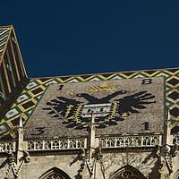 Buy canvas prints of Stephansdom Cathedral roof detail by Robert Murray