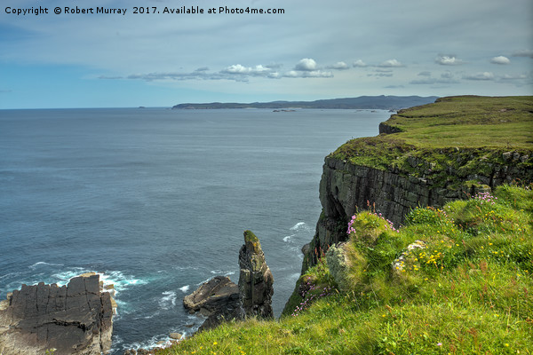 Handa Island Cliff View Picture Board by Robert Murray