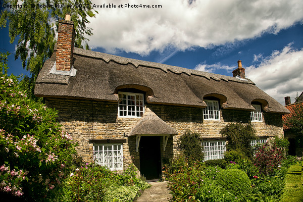  English Thatched House 2 Picture Board by Robert Murray