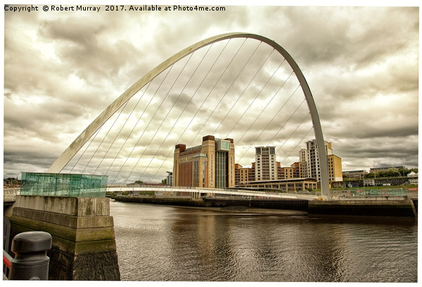 The Millenium Bridge - Newcastle Picture Board by Robert Murray