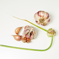 Buy canvas prints of Garlic by Robert Murray