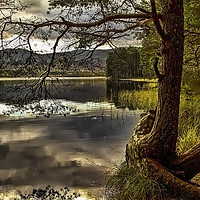 Buy canvas prints of Loch Garten by Robert Murray