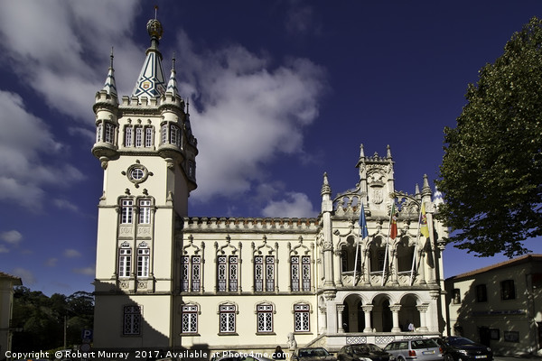 The Town Hall, Camara Municipal, Sintra, Portugal. Picture Board by Robert Murray