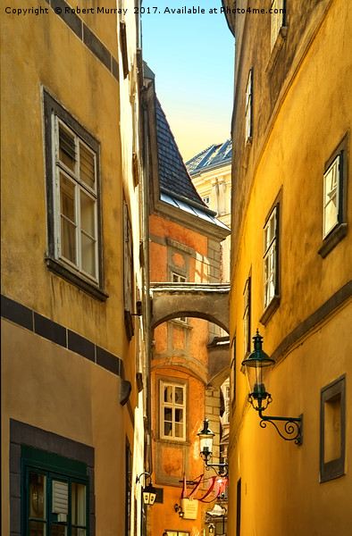  Alley in Vienna Picture Board by Robert Murray