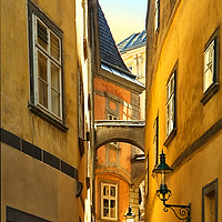 Buy canvas prints of  Alley in Vienna by Robert Murray