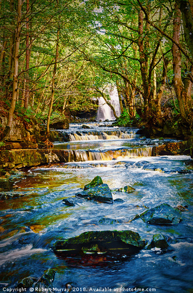 Bowlees Beck Picture Board by Robert Murray