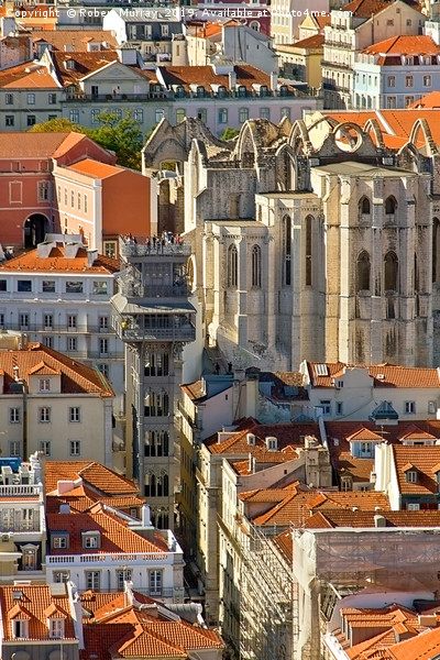 Lisbon Rooftops Picture Board by Robert Murray