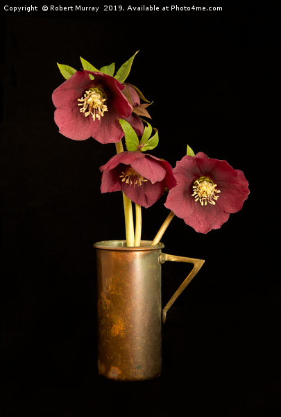 Hellebore Trio in Cup 2 Picture Board by Robert Murray