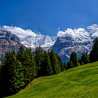 Buy canvas prints of  Alpine Meadow with Mettenberg and the Eiger by Robert Murray