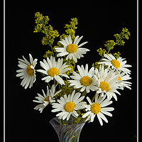 Buy canvas prints of Wild Flowers in a Vase by Robert Murray