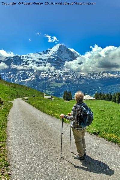 Contemplating the Eiger Picture Board by Robert Murray