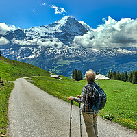Buy canvas prints of Contemplating the Eiger by Robert Murray