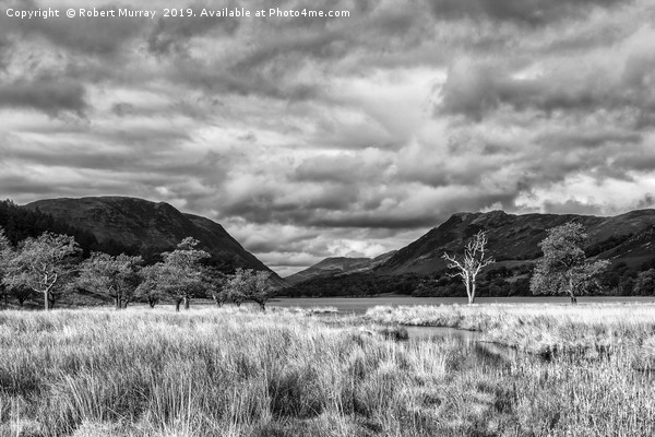 Buttermere Trees Picture Board by Robert Murray