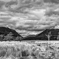 Buy canvas prints of Buttermere Trees by Robert Murray