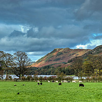 Buy canvas prints of Pastoral Scene at Buttermere by Robert Murray