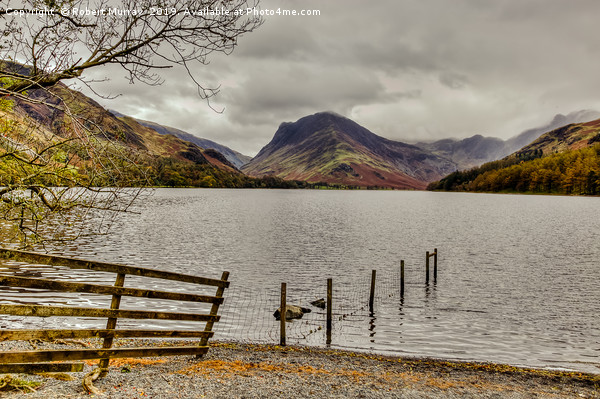 Fence Line into Buttermere Lake Picture Board by Robert Murray