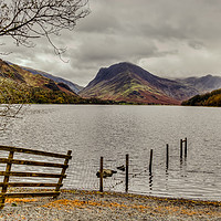 Buy canvas prints of Fence Line into Buttermere Lake by Robert Murray