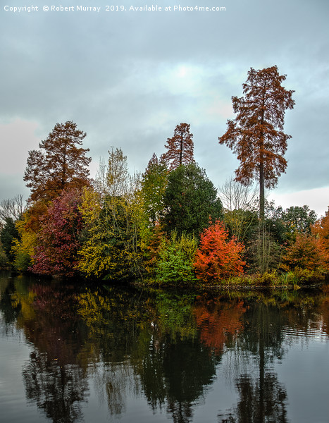  Autumn Reflections Picture Board by Robert Murray