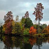 Buy canvas prints of  Autumn Reflections by Robert Murray