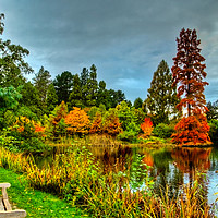 Buy canvas prints of  Autumn Colours Reflected in Pond by Robert Murray
