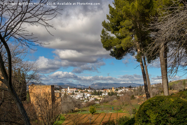 Granada from The Alhambra Gardens Picture Board by Robert Murray