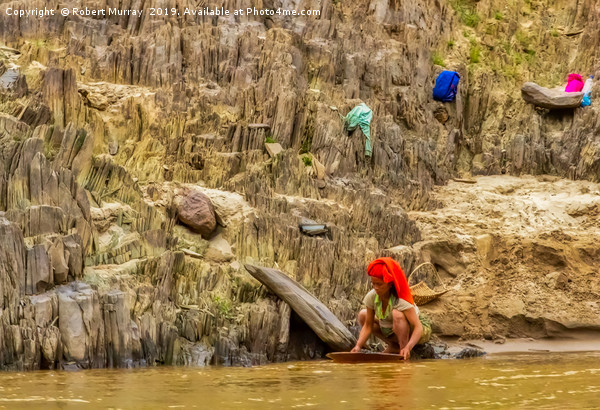 Panning for Gold on the Mekong River Picture Board by Robert Murray