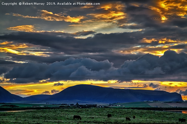 Dramatic evening sky over Orkney farmland Picture Board by Robert Murray